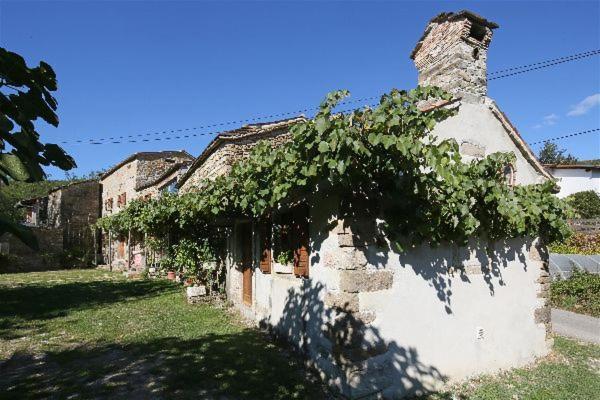 Istrian Experience Villa Socerga Eksteriør billede